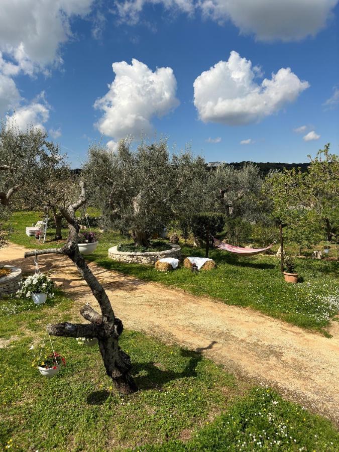 Trulli Barsento Pension Alberobello Buitenkant foto