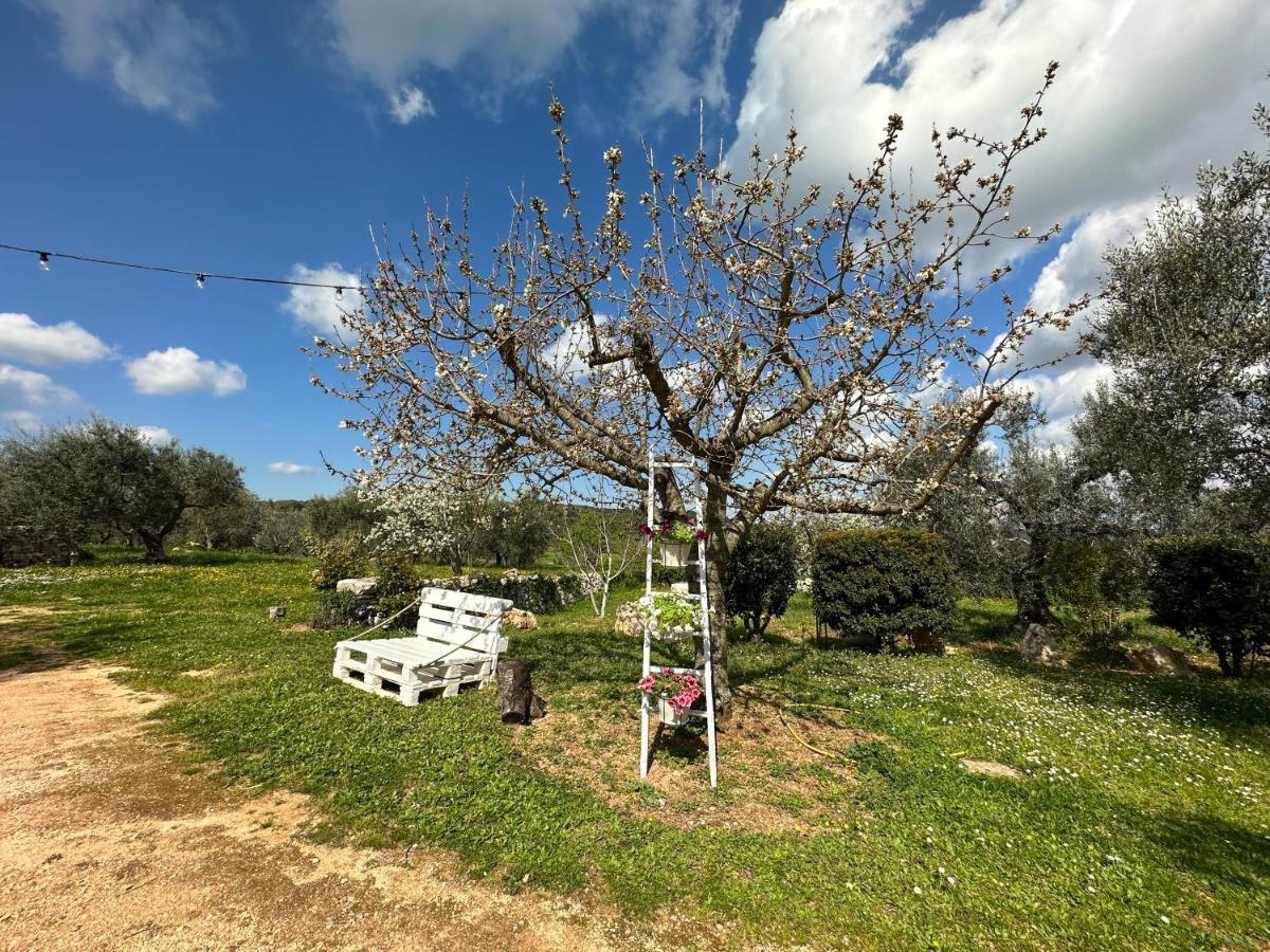 Trulli Barsento Pension Alberobello Buitenkant foto