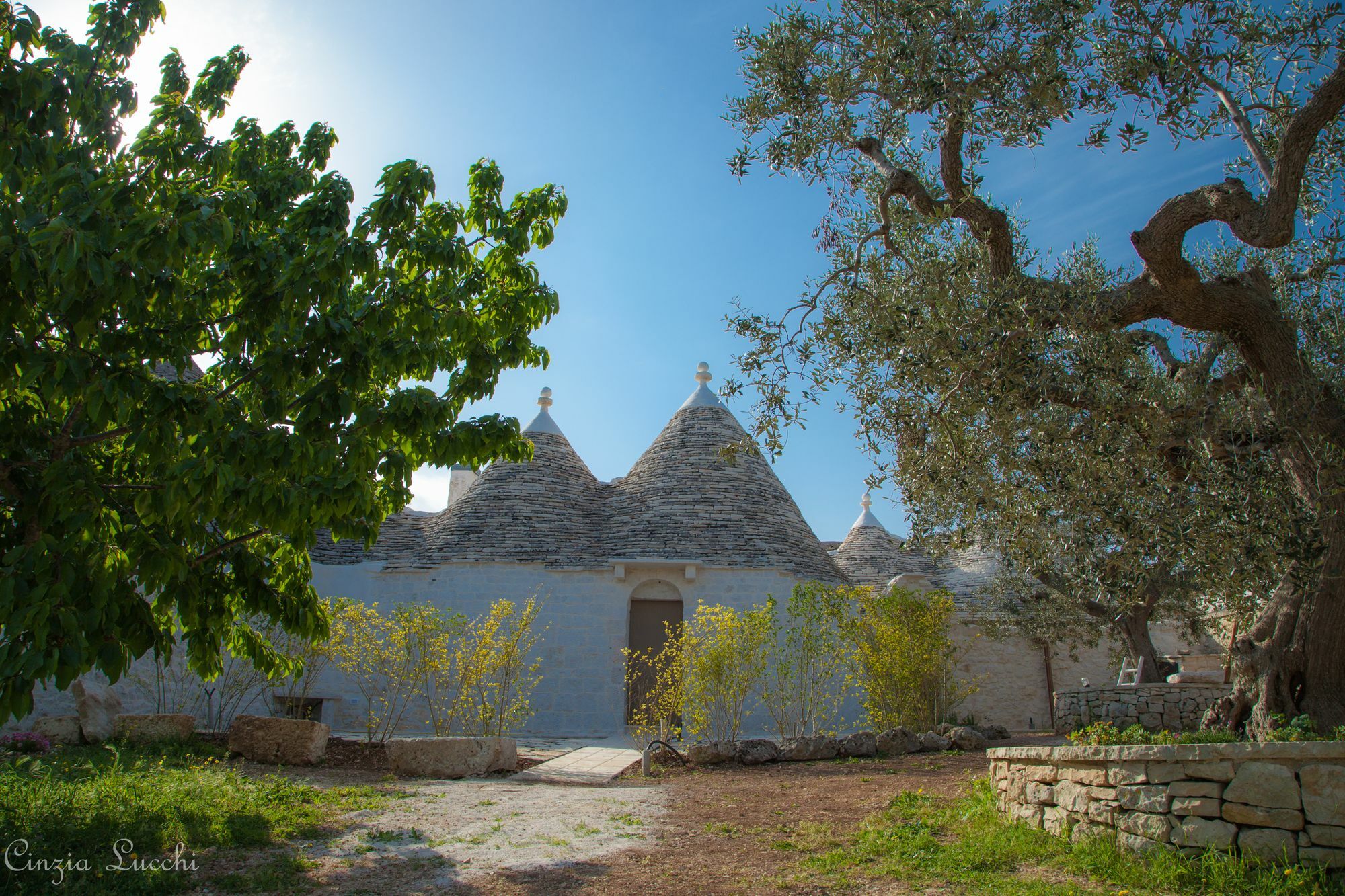 Trulli Barsento Pension Alberobello Buitenkant foto